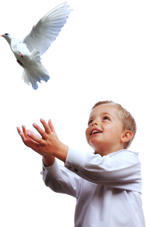 a kid with a dove